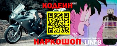 прущие грибы Братск